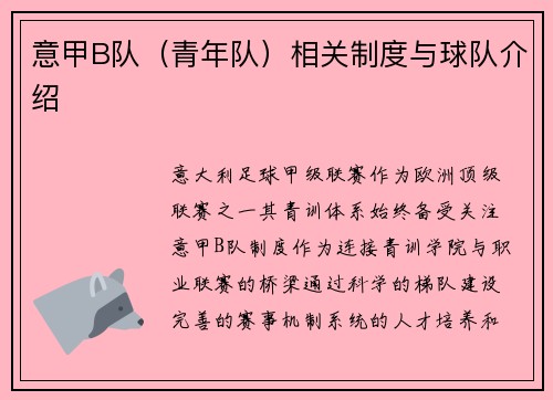 意甲B队（青年队）相关制度与球队介绍